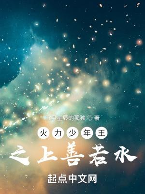 火力少年王之上善若水免费爱书林文学