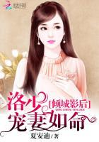 倾城影后洛少宠妻如命全文免费阅读