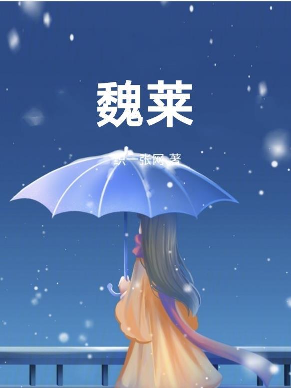 魏莱汽车