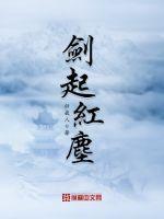 红尘剑客什么意思