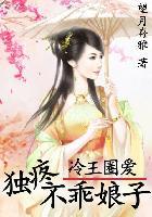 腹黑王爷娘子请留步txt