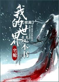 我的世界那本书