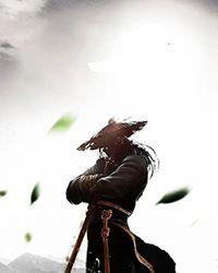 暗黑破坏神圣骑士初期装备