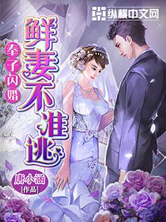 奉子闪婚鲜妻