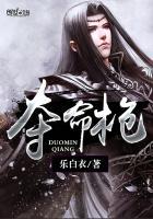 夺命枪火2免费完整版
