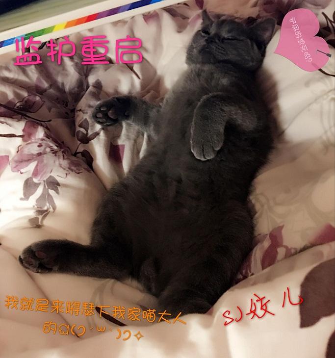 重症监护室出来几天可以醒