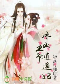 冰山王爷俏医妃