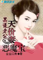 黑道老公的霸宠全文免费