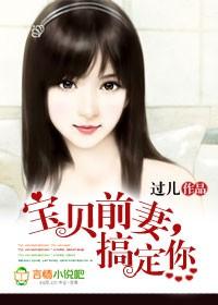宝贝前妻txt