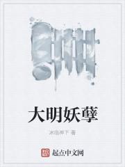 大明妖孽的深度解析