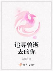 追寻逝去的青春作文