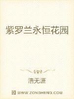 紫罗兰永恒花园中文版免费观看全集