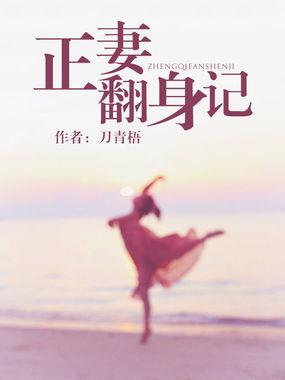 正妻2016