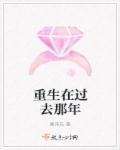 重生之过去那些年