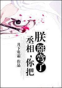 丞相你踢到朕了