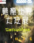 莫桑比克中国项目