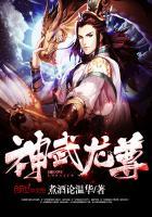 神武龙阵效果