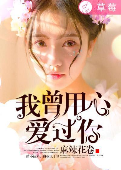 我曾用心爱着你歌名是啥