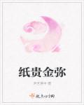 纸贵金迷人物