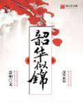 韶华如梦