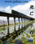 死亡列车的凶手