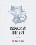 综漫赤之王