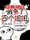 都市我爸二婚我五个姐姐