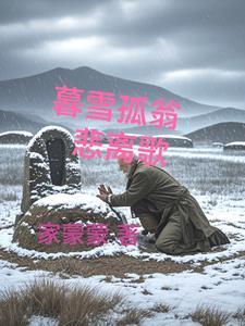 暮雪的歌词