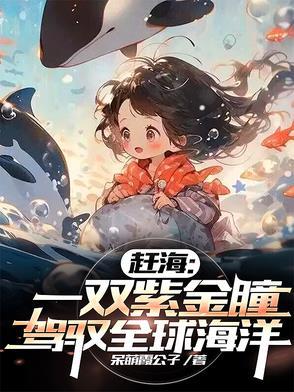 赶海大全视频