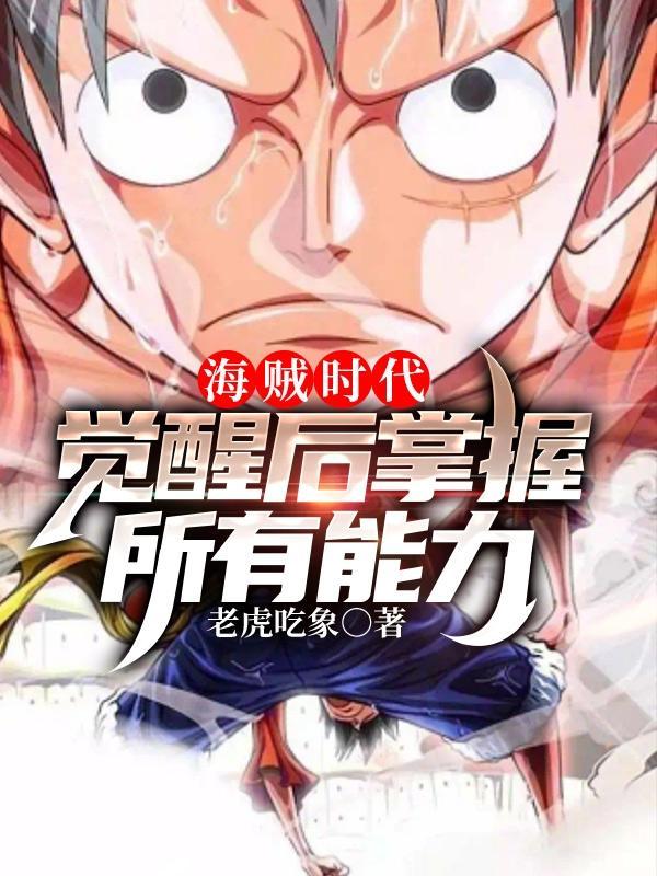 海贼王时代