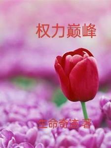 权力巅峰主角履历