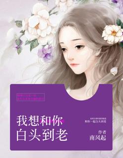 我想和白头到老什么歌