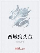 2024狗头金多少钱一克
