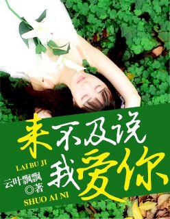 来不及说我爱你静婉
