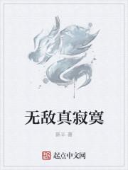 无敌真寂寞免费