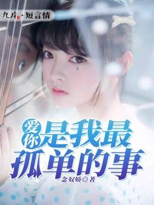 爱你是孤单的心情是哪首歌
