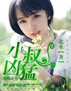 小叔凶猛/我心似琉璃
