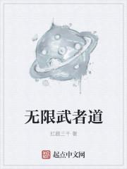 无限武者道红颜笔趣