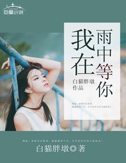 我在雨中等你歌
