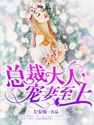 总裁大人的双面宠妻