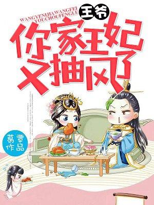 王爷你家王妃又闯祸了