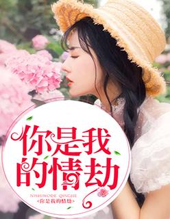 你是我的情劫英文