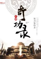 江湖奇功录录