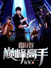 都市巅峰高手秦南明全本