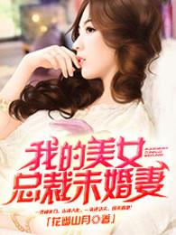 我的美女总裁未婚妻叶寒