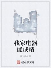 我说家里的电器