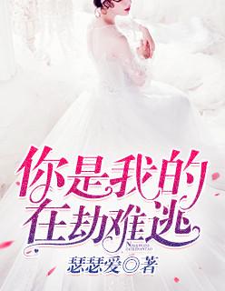 你是我的在劫难逃林汐