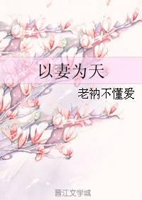 以妻为天作者琉璃醉