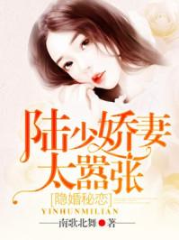 隐婚秘恋陆少娇妻太嚣张 南歌北舞txt