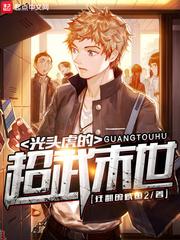 光头虎的超武末世123